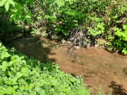 idyllischer Bachlauf