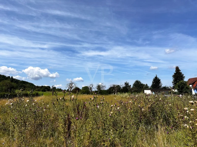 Weitblick ins Grüne