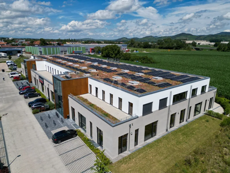 Außenansicht - Büro/Praxis mieten in Breisach am Rhein - Moderne und gut ausgestattete Bürofläche mit eigener Terrasse