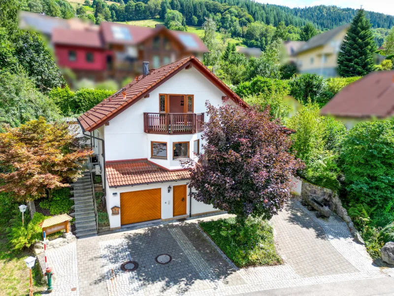 Titelbild - Haus kaufen in Todtnau / Schlechtnau - Schönes Einfamilienhaus in Hanglage und Südterasse