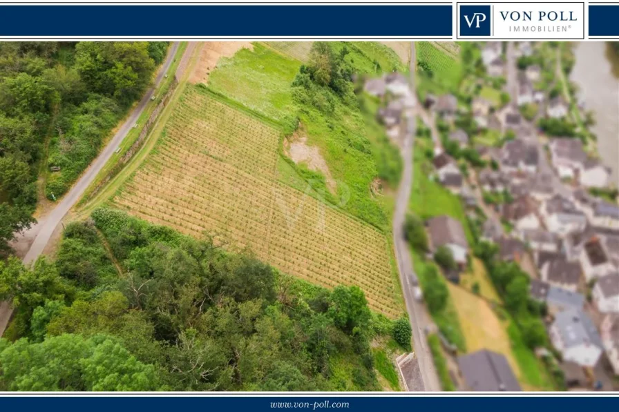 Impressionen - Grundstück kaufen in Obernhof - Premium Bauplatz mit Weinberg und Panoramablick