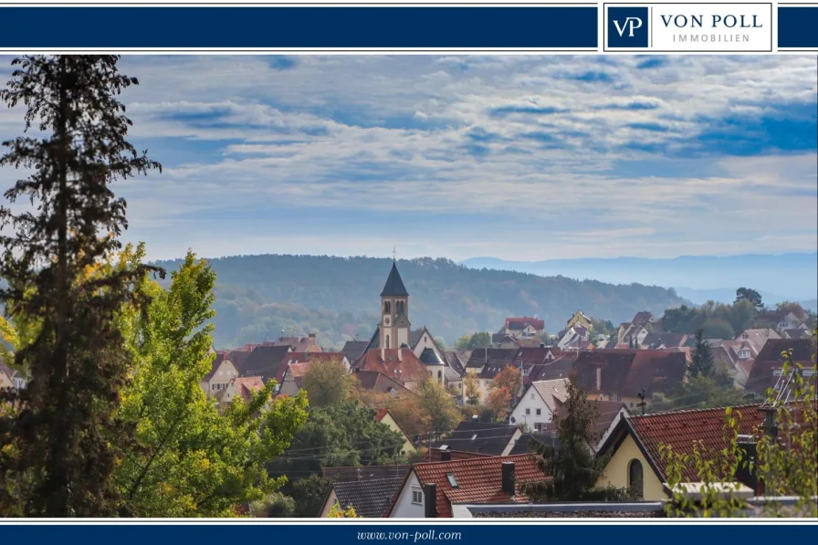 Weitblick - Haus kaufen in Tübingen - Teilrenoviertes Mehrfamilienhaus in Aussichtslage