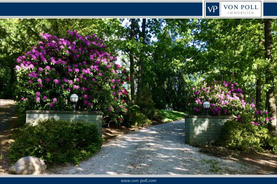  Titel Web - Haus kaufen in Hilchenbach - Repräsentative Villa auf Parkgrundstück mit traumhaftem Blick