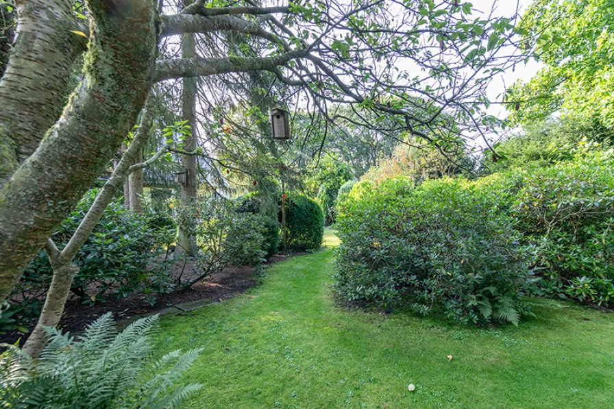 Blick zurück in den vorderen Garten