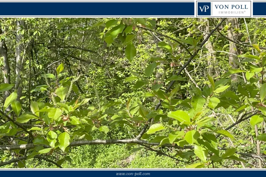 Titelbild - Grundstück kaufen in Heppenheim (Bergstraße) - Gartengrundstück zwischen den Weinbergen!