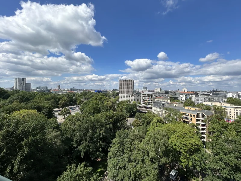 Aussicht auf den Tiergarten