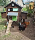 Hühnerhaus