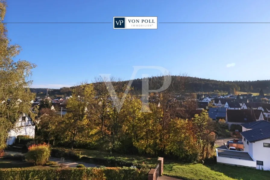 Titelbild - Haus kaufen in Münklingen - Blick über Münklingen: Ein-/Zweifamilienhaus zur Selbstverwirklichung!