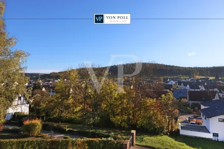 Titelbild - Haus kaufen in Münklingen - Blick über Münklingen: Ein-/Zweifamilienhaus zur Selbstverwirklichung!