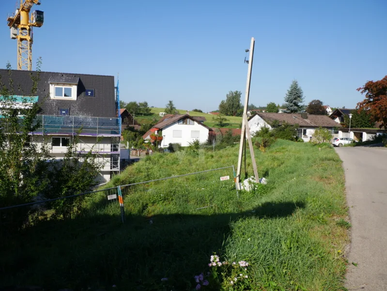 Blick nach Westen : Abendsonne - Grundstück kaufen in Wangen im Allgäu / Niederwangen - KEIN BAUZWANG für attraktiven Bauplatz in Niederwangen