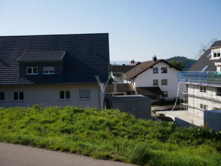 Ausblick nach Süden - Grundstück kaufen in Wangen im Allgäu / Niederwangen - Attraktiver Bauplatz in Niederwangen ohne Bauzwang