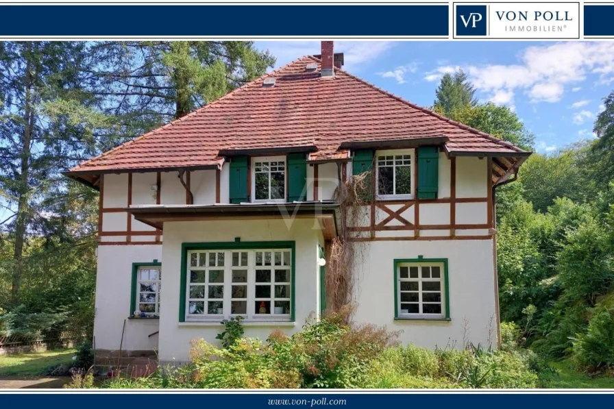 Frontansicht - Haus kaufen in Waldsolms - Naturliebhaber aufgepasst! Uneinsehbares Anwesen, nahezu Alleinlage in Waldsolms