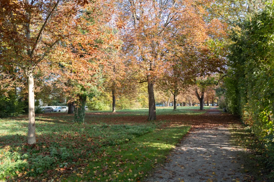 Gleich um's Eck: Normannenplatz in Bogenhausen