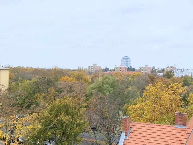 Ausblick im Herbst