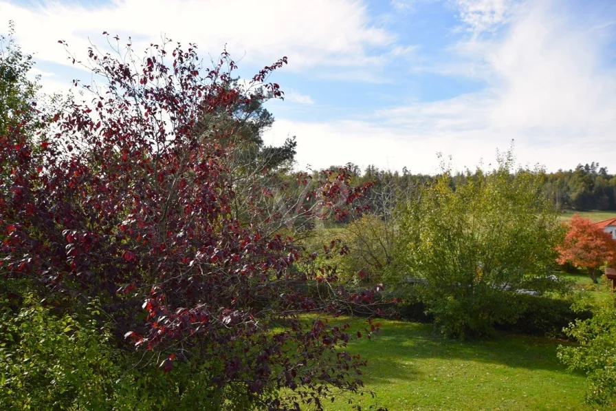 Ausblick Garten