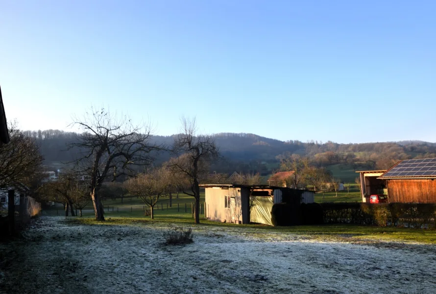 Blick in den Garten