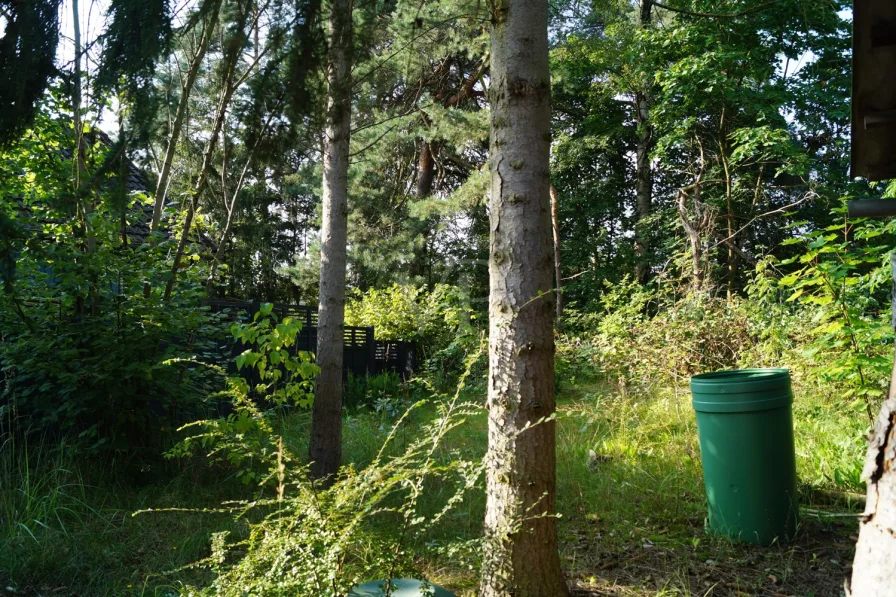 Grundstück am Schuppen