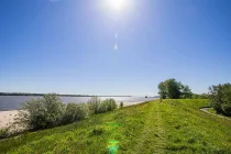 Deich und Elbstrand direkt vor der Tür