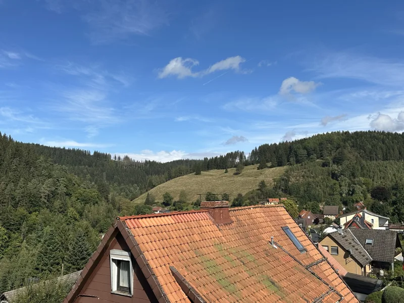 Blick vom Balkon