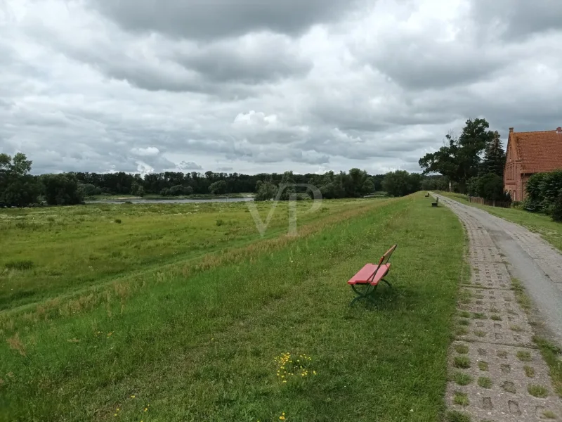 Blick Richtung Nordwesten auf den Elbdeich