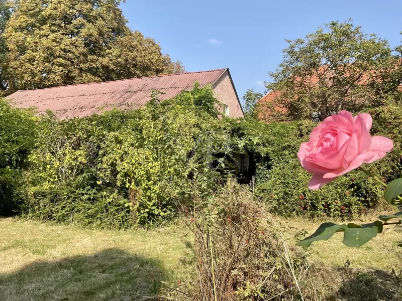 Garten mit Blick zum Nebengebäude