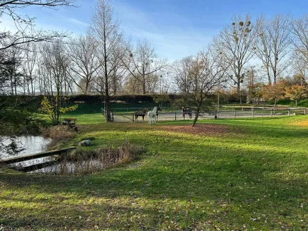 Reitplatz - Haus kaufen in Hedwigsburg - Außergewöhnliches Anwesen mit vielfältigen Nutzungsmöglichkeiten - Pferdehaltung, Seminare u.v.m.