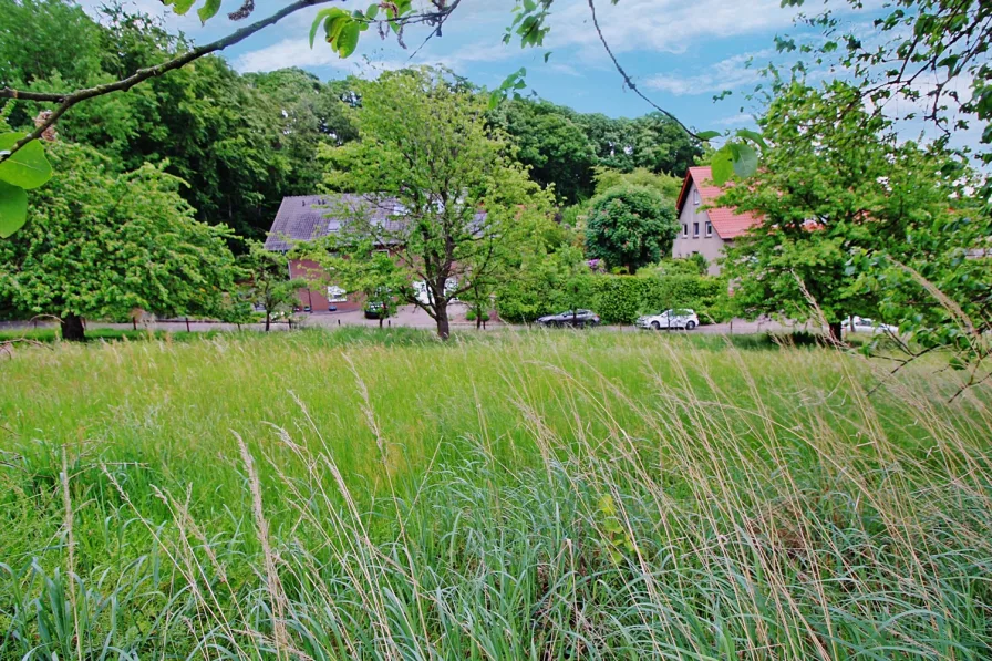 Blick auf die Straße