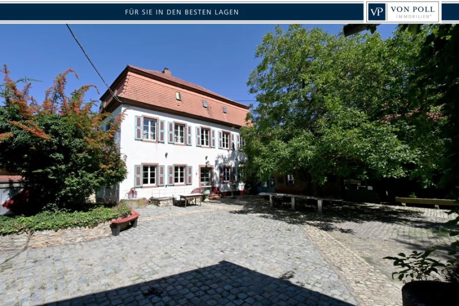  - Haus kaufen in Alsheim - Schloss Alsheim sucht neuen Eigentümer!