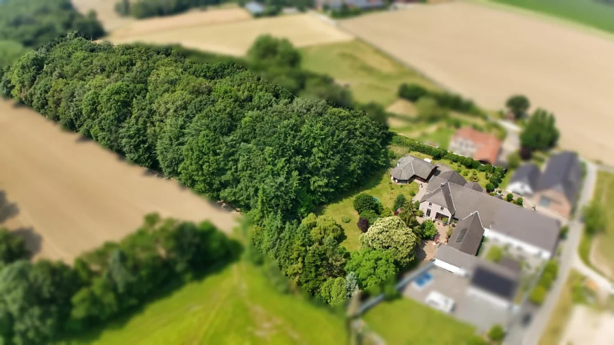 Luftansicht mit Waldgrundstück