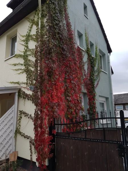  - Haus kaufen in Bad Camberg / Oberselters - Bad Camberg - Oberselters. Großes Wohnhaus mit 2 - 3 Wohnungen, kurzfristig verfügbar.