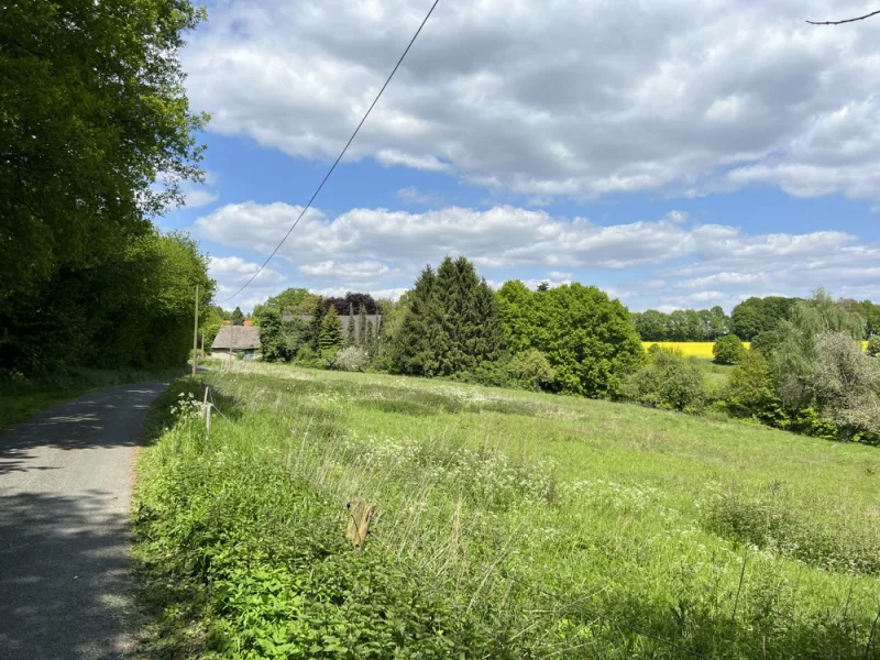  - Haus kaufen in Tecklenburg - Resthof mit Weideflächen in traumhafter Lage