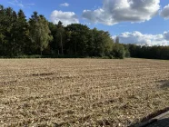 Blick über das angrenzende Feld