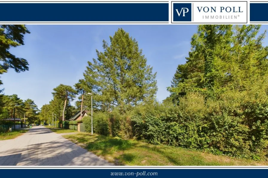 Grundstücksansicht von der Straße  - Grundstück kaufen in Königs Wusterhausen - Idyllisches Baugrundstück in begehrter Lage von Senzig