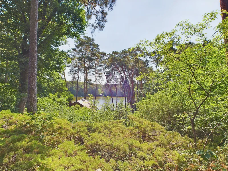 Blick auf den Zernsdorfer Lanken-See