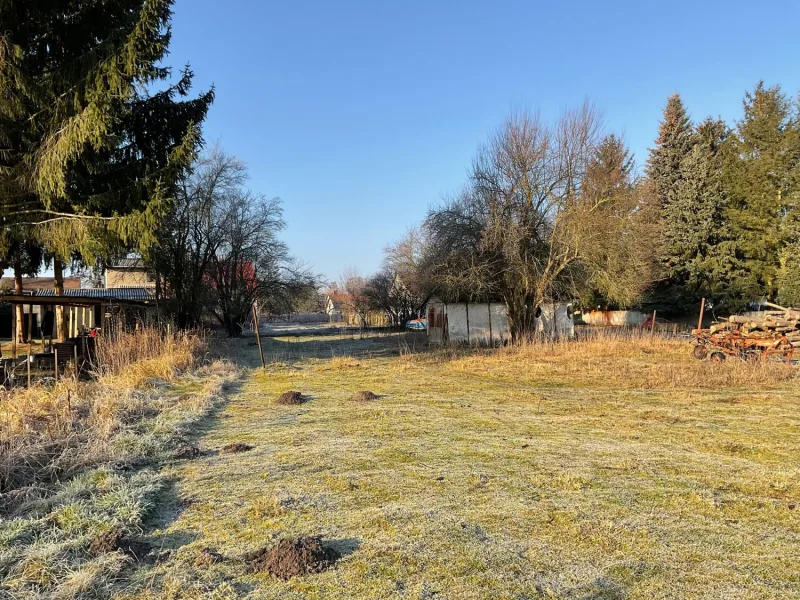 Blick vom hinteren Bereich zur Straße