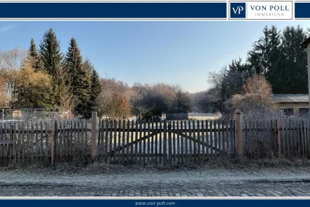 Blick von der Straße - Grundstück kaufen in Groß Köris - Grundstück mit unverbaubarem Blick in die Natur und viel Grünland, direkt im Ortskern von Groß Köris