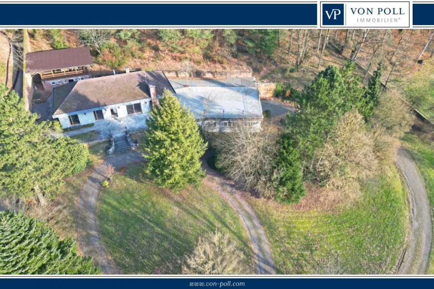 Titelbild - Haus kaufen in Wald-Michelbach / Affolterbach - Exklusives Einfamilienhaus auf herrschaftlichem Anwesen.