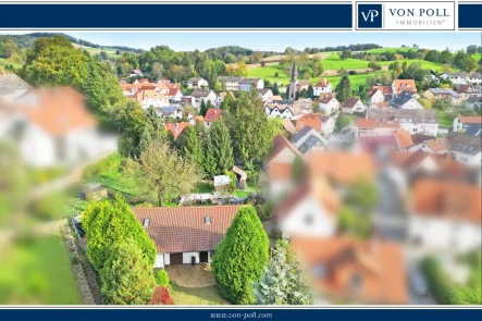 Titelbild VP - Haus kaufen in Birkenau / Nieder-Liebersbach - Bungalow zur Sanierung auf weitläufigem Grundstück