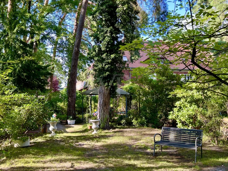 Garten in der Abendsonne