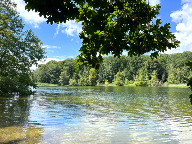 Baden im Schlachtensee