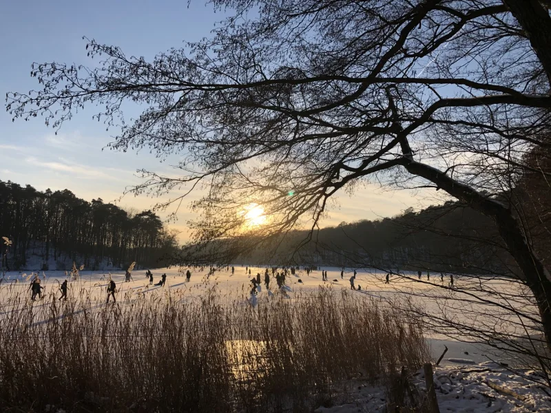 Impression: Der Schlachtensee im Winter