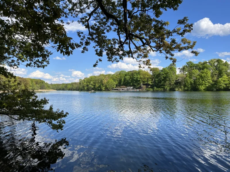 Impression: Der Schlachtensee im Sommer