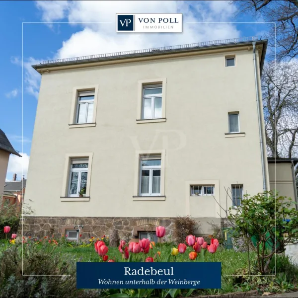 Startansicht - Haus kaufen in Radebeul - *Wohnen unterhalb der Weinberge*
