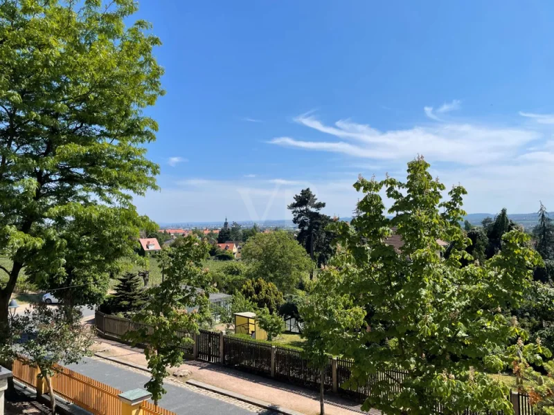 Aussicht Balkon 1. OG