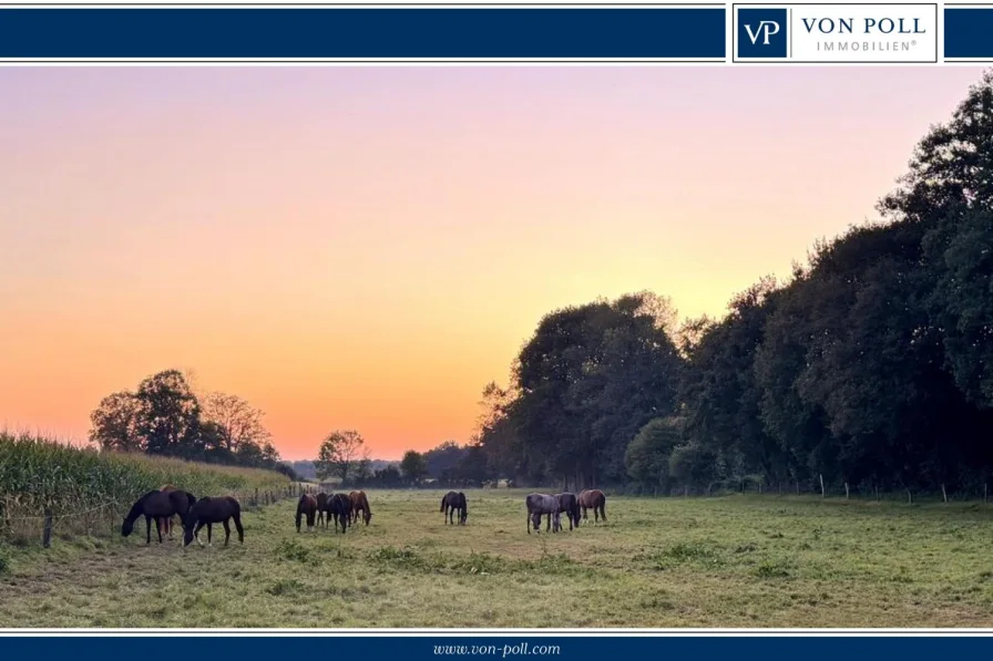 Weide - Land- und Forstwirtschaft kaufen in Everswinkel - Reitanlage im Münsterland: Perfekte Kombination aus ländlicher Idylle, Stadtnähe, prof. Ausstattung