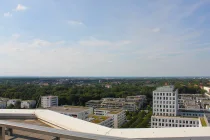 Roofgarden