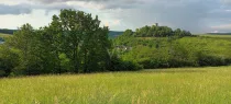 Blick von den Feldern auf die Immobilie und die Wallburg