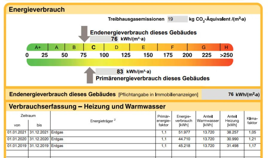 Auszug Energieausweis