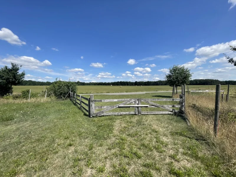 Zugang von der Straße zu Baufeld/Wiese