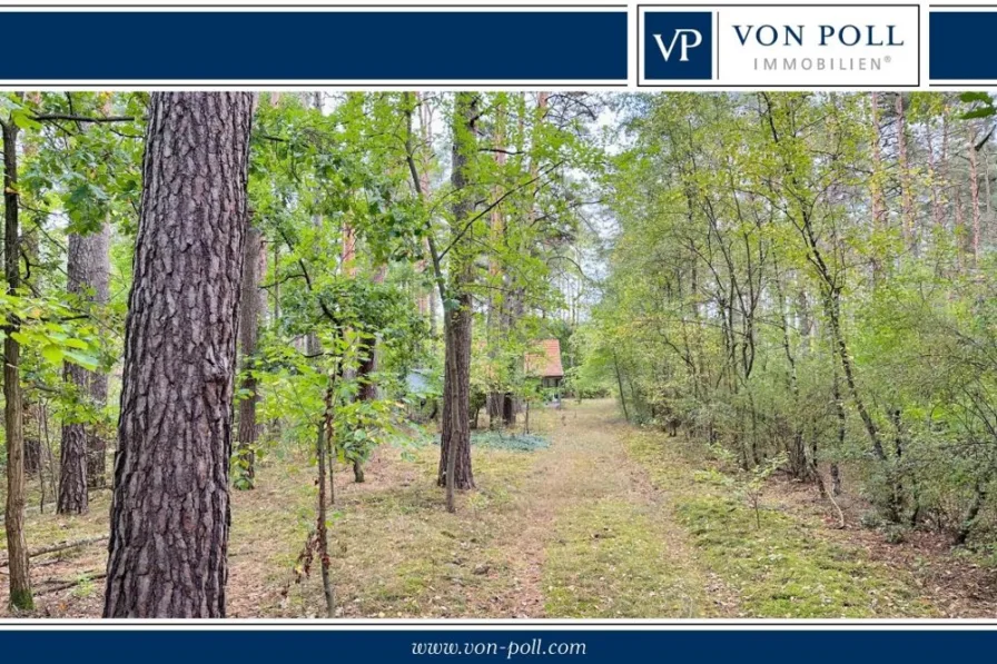 Titelbild - Grundstück kaufen in Borkheide - Traumhaftes Baugrundstück direkt am Waldrand